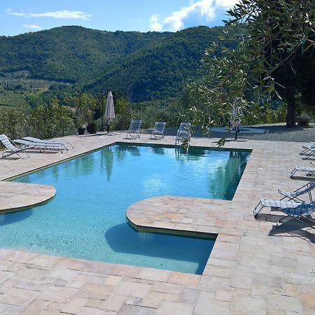 Villa D'Arte Agri Resort Pontassieve Exterior foto